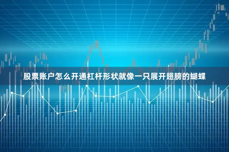 股票账户怎么开通杠杆形状就像一只展开翅膀的蝴蝶
