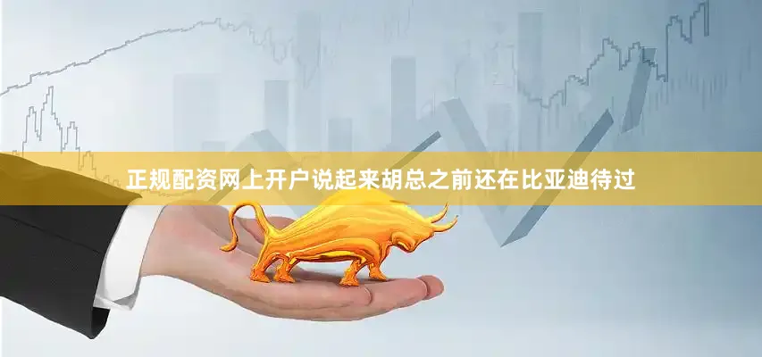 正规配资网上开户说起来胡总之前还在比亚迪待过
