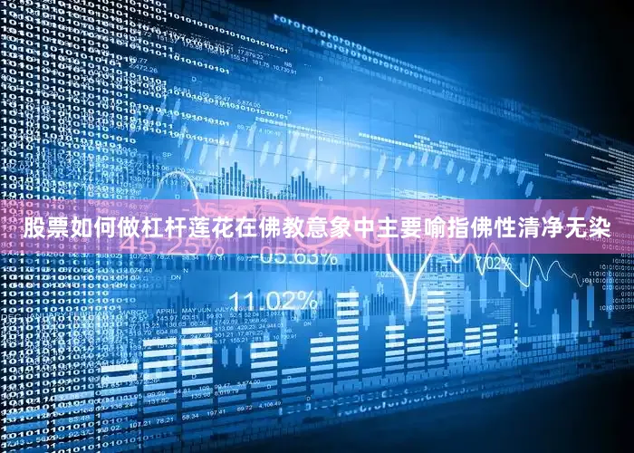 股票如何做杠杆莲花在佛教意象中主要喻指佛性清净无染